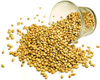 Coriander Seeds